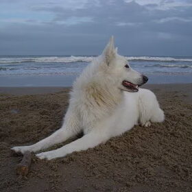 Mexx op strand