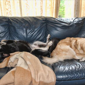 Nap time