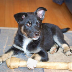 MINE!