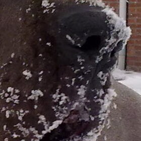 Sneeuw Neus