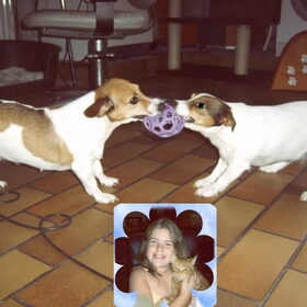 ruzie om een bal!!