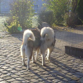 Love is in the air
