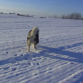 En weg is hij :-)