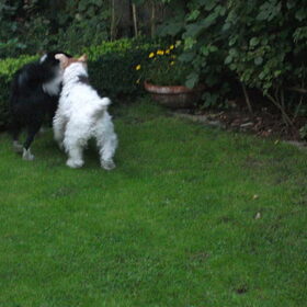 woody en terra hun pluizige kont =)