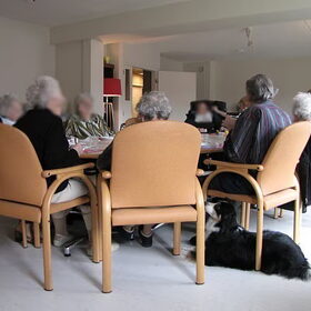Flóki stimuleert een bewoner