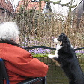 Samen krokusjes kijken