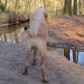 Matchy in de mooie natuur...