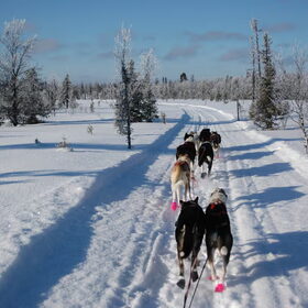 Trainen in Zweden
