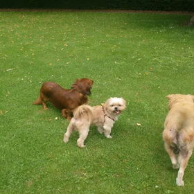 2 van de drie