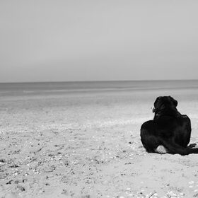 Alleen op het strand