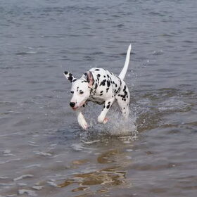 Waterrrrrrr