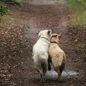 samen op pad!