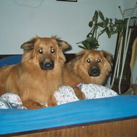 lucky en messi