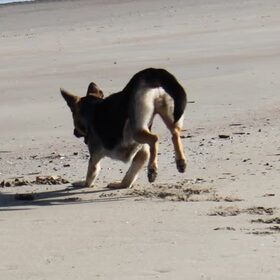 Arco aan zee