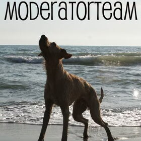 Moderator team