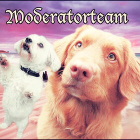 Moderatorteam