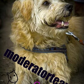 modeatorteam..