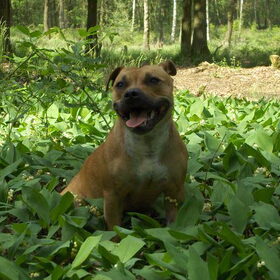 Lekekr in het bos van het zonnetje genieten:)