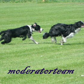 Geen titel