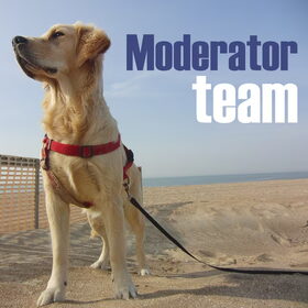 Moderator Team - profielfoto