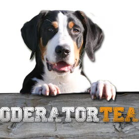 (Opnieuw geplaatst) Moderatorteam profielfoto
