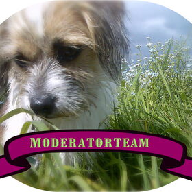 moderatorteam