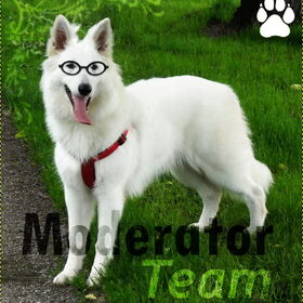 Het Modteam.