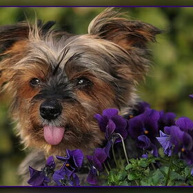 it's springtime