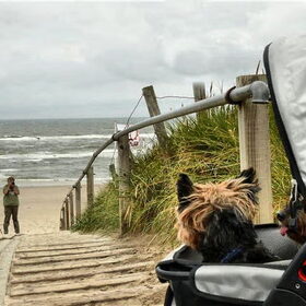 genieten van strand en duinen