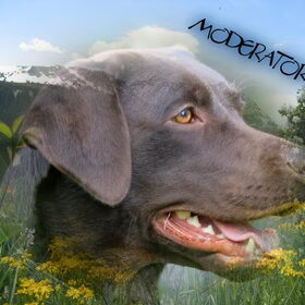 Moderator