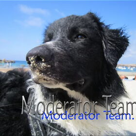 Moderator profielfoto!