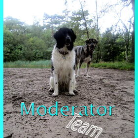 Nog een profielfoto voor de Moderators