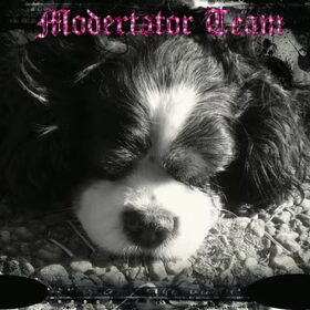 Moderator profielfoto