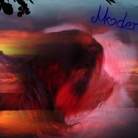 Moderator Picture