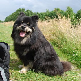 Even pauze tijdens deze mooie lente wandeling