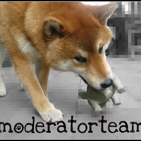Moderatorteam