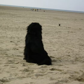 rishka aan zee