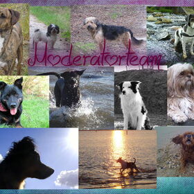 Alle honden
