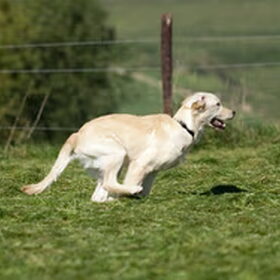 ennnnnnnnnnnnnn actie!!!!