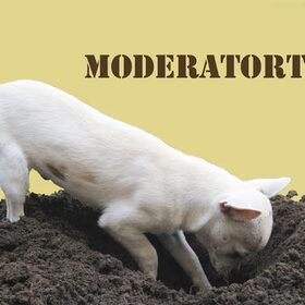Het Moderatorteam zoekt het tot op de bodem uit