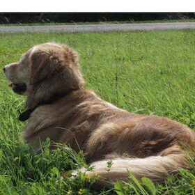 pauze op een wandeling