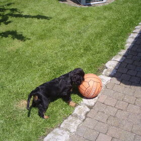 voetballen