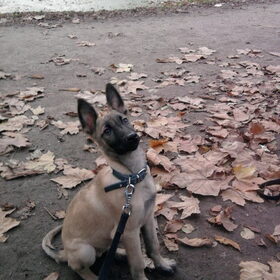 Kleine hope