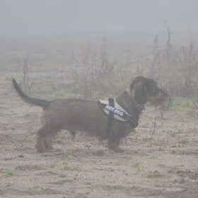 Kareltje in de mist...