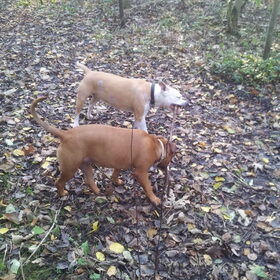 Samen spelen!