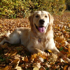 Max in de herfst!
