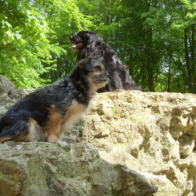 mn schatjes op de berg in tbos