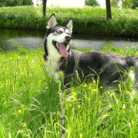 Mijn 1e Lente ik geniet met volle teugen