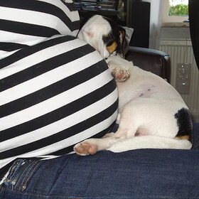 Mylo