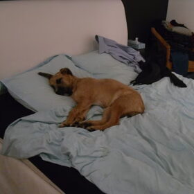 op bed